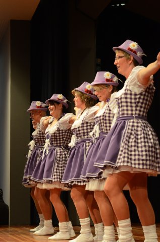 umzug simmern_140301_vb_337